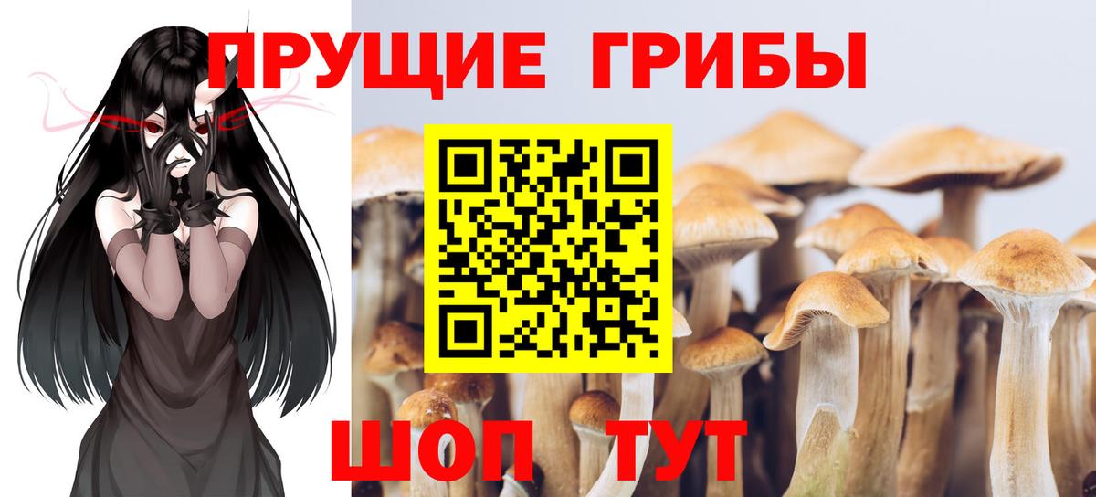 Галлюциногенные грибы ЛСД  Вход с VPN  Сочи 