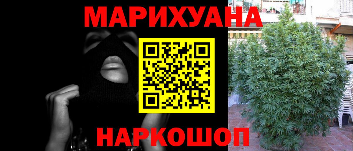 Бошки марихуана ГИДРОПОН Сочи